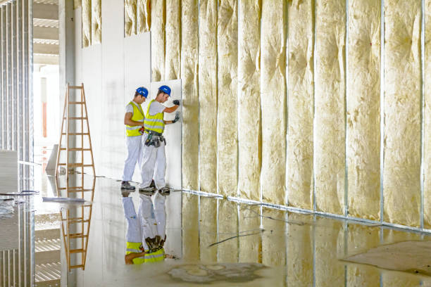 Professional Insulation in Fredericksburg, IA